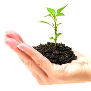 Start_Up